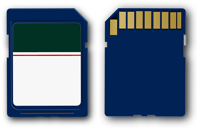 Mejores tarjetas SD de clase 10: lexar, sandisk, kingston, samsung evo y transcend
