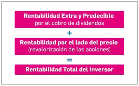 Compañías con rentabilidad por dividendo: rentabilidad total del inversor
