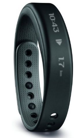 Garmin Vivo Smart