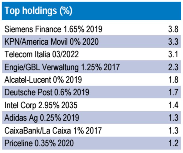 F&C Global Convertible Bond Fund: principales posiciones