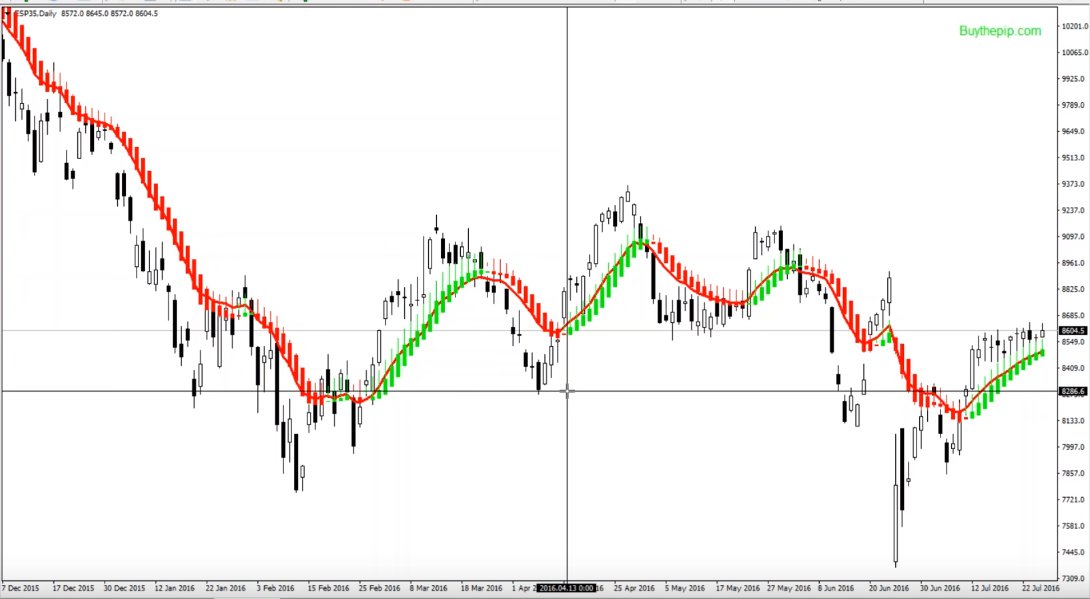 ibex