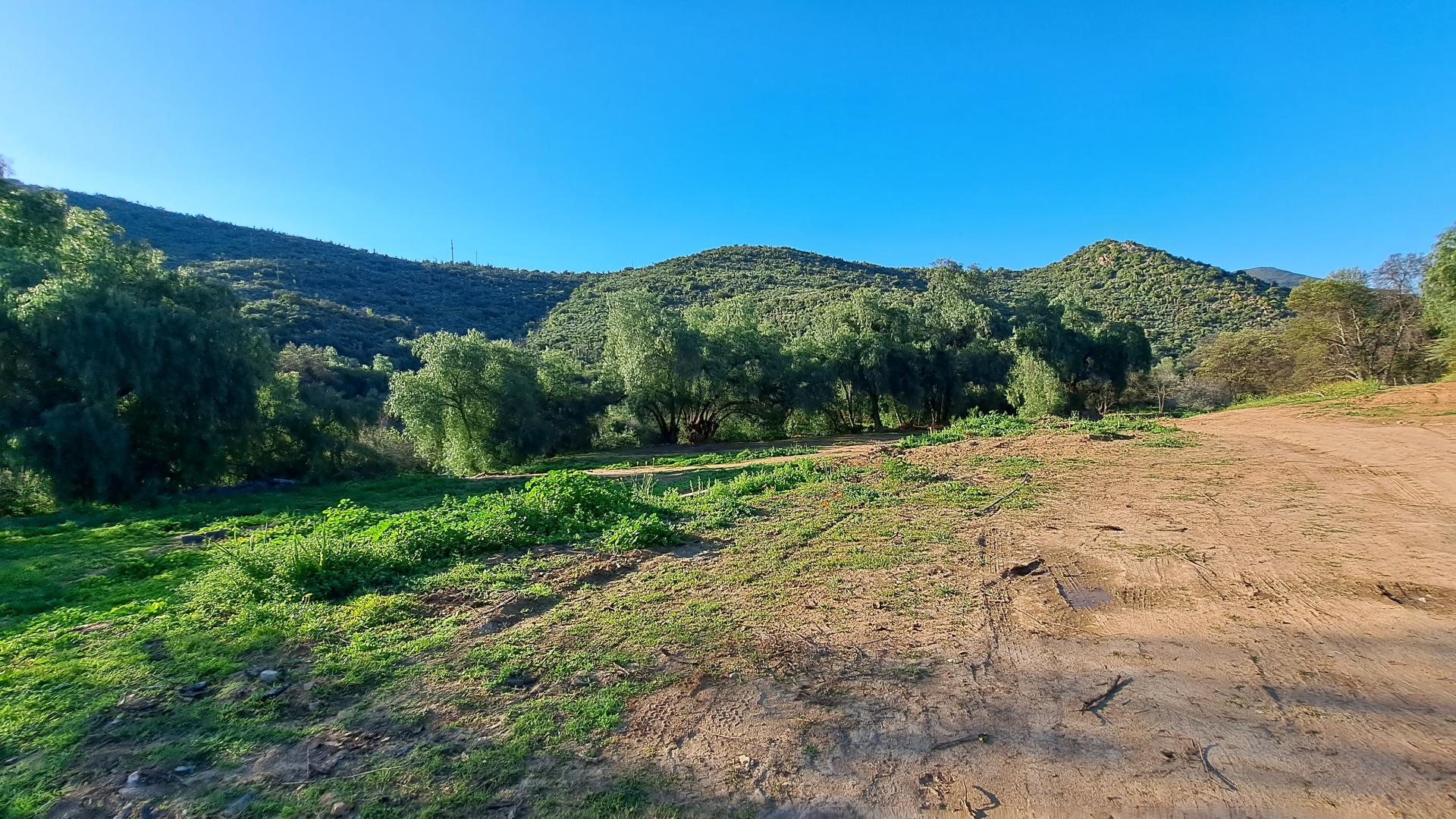 Vacant Erf For Sale in De Rust IOL Property