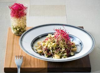 Insalata di quinoa e germogli