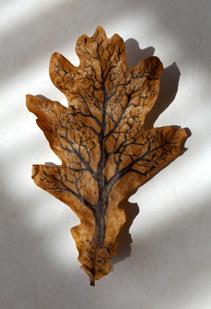 Oak tree-leaf 3D