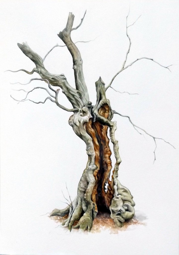 tree painting hornbeam wood and sinew