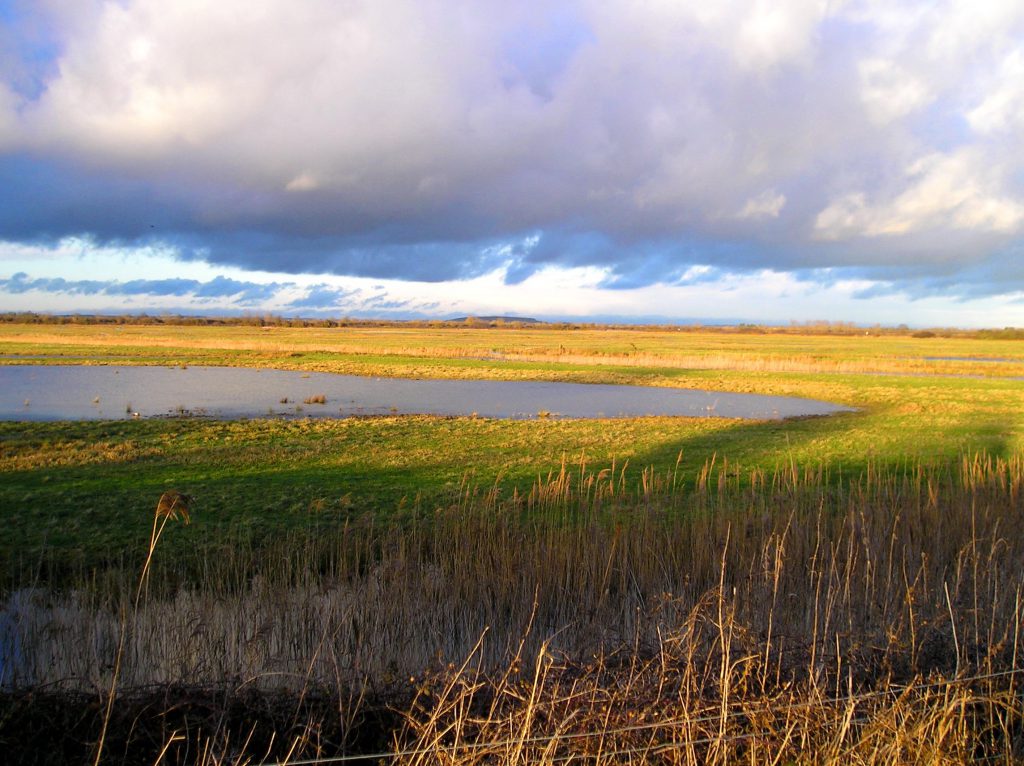 otmoor4