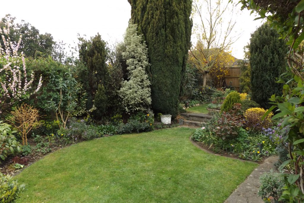 Garden view 14 April 2016 044