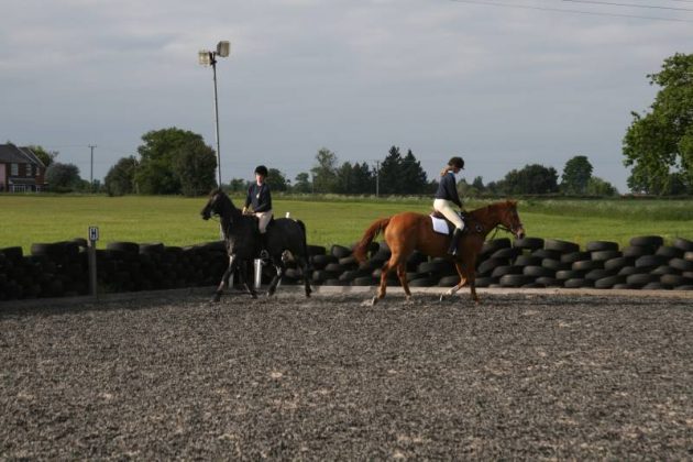 Lessons at Bylam Livery Stables