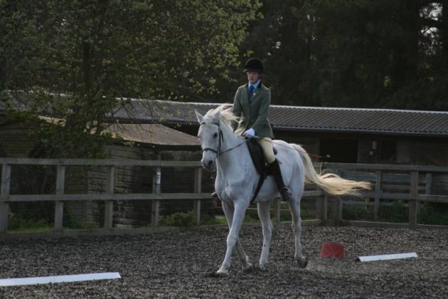 Dressage competition at Poplar Park