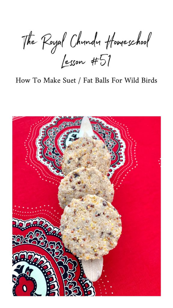 Royal Chundu Homeschool Making Suet Balls for Birds