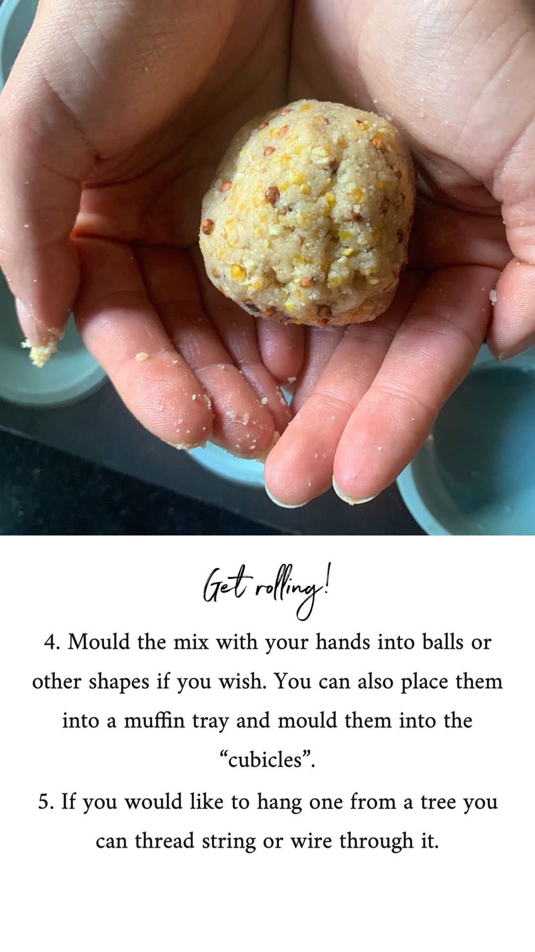 Royal Chundu Homeschool Making Suet Balls for Birds
