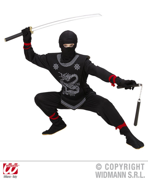 Boys Ninja Costume Chinese Martial Arts Fighter Fancy Dress Cosplay
