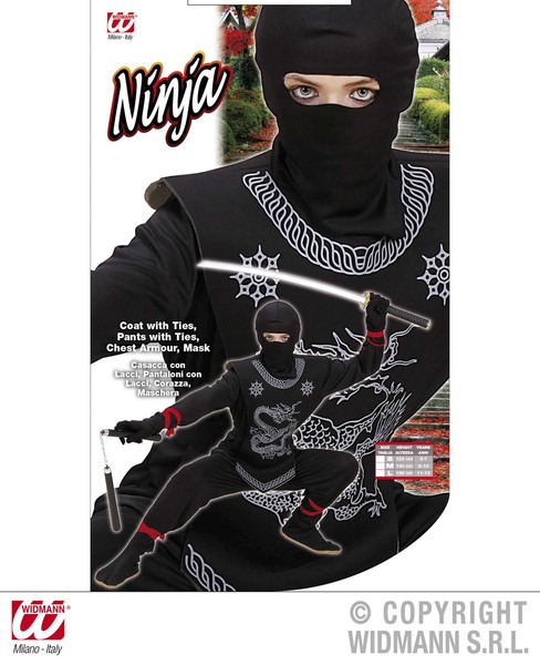 Boys Ninja Costume Chinese Martial Arts Fighter Fancy Dress Cosplay