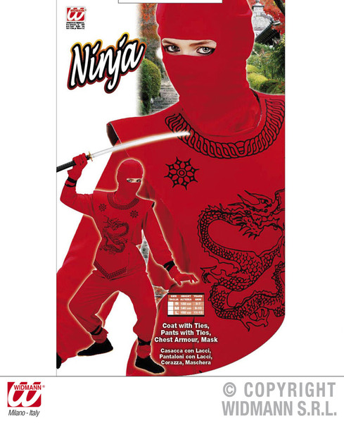 Boys Ninja Costume Chinese Martial Arts Fighter Fancy Dress Cosplay