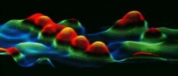 Nanoscienze