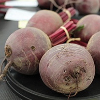 Beetroot Pablo F1 AGM Seeds