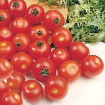 Tomato Gardeners' Delight AGM Seeds