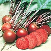 Beetroot Boltardy AGM Seeds