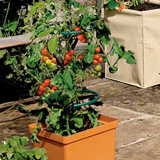 Tomato Tower|D. T. Brown Garden Equipment