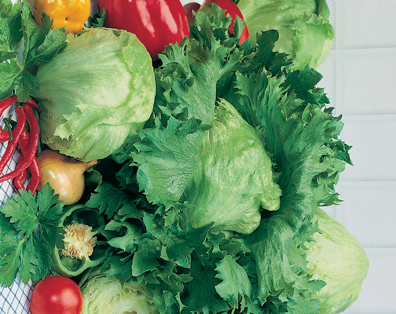 Lettuce Iceberg 2 Seed TapeD. T. Brown Vegetable Seeds