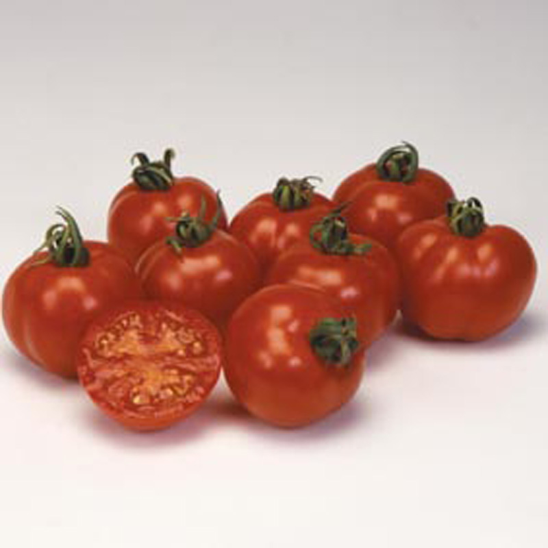 Tomato (Heritage) Bloody Butcher SeedsD. T. Brown Vegetable Seeds