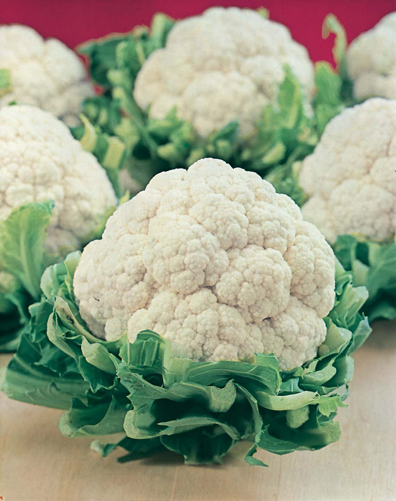 Get Growing CauliflowerAll the Year RoundMr Fothergill's Vegetable Seeds