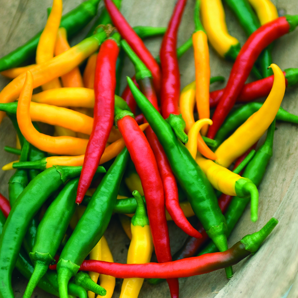 Get Growing Pepper Hot Mix (Hot) Devil's Brew Vegetable Seeds from