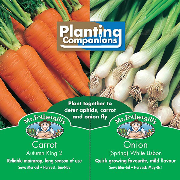 Planting Companions Carrot & Spring Onion Seeds from Mr Fothergill's