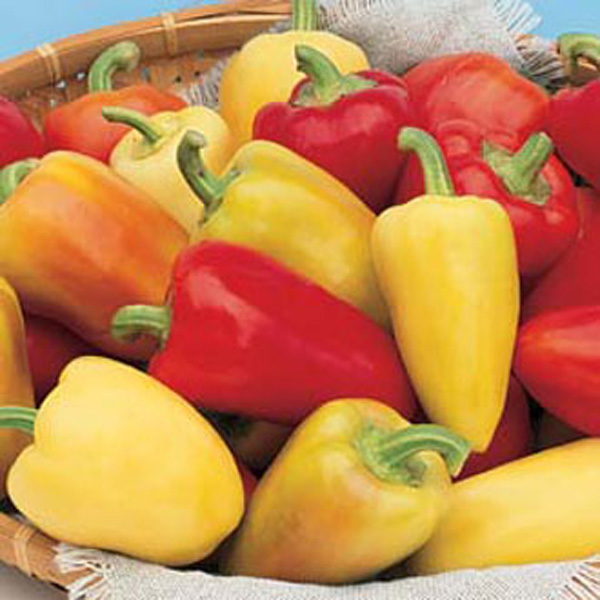 harvest dating offer code Browse the most popular dating coupons, promo codes, and other free offers remember: check groupon first. harvest dating offer code Browse the most popular dating coupons, promo codes, and other free offers remember: check groupon first.