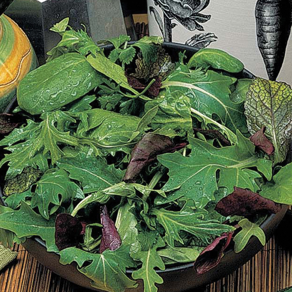 Salad Leaves Mixed SeedsD. T. Brown Vegetable Seeds
