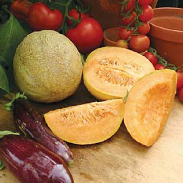 Melon Emir F1 AGM SeedsD. T. Brown Vegetable Seeds