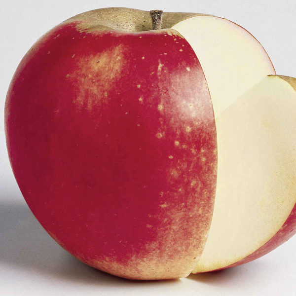 Apple Tree, JubileeD. T. Brown Fruit Trees