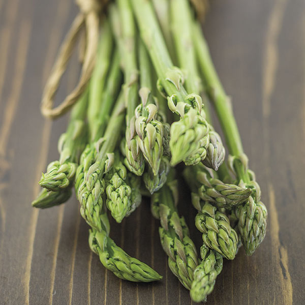 Asparagus Amaro Montina wild asparagus D. T. Brown Flower Asparagus Crowns