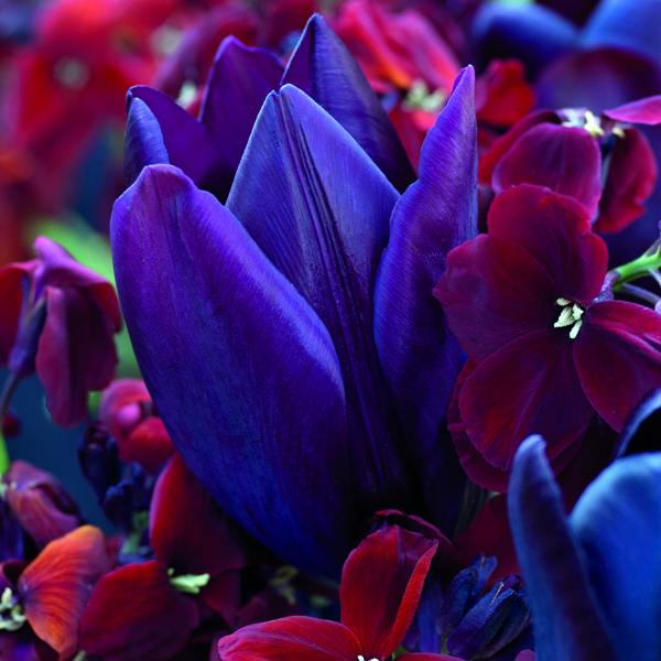 This item is no longer available.