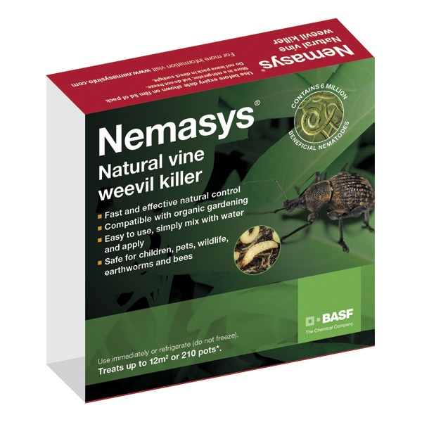 Nemasys Biological Vine Weevil Killer Vine Weevil control DT Brown