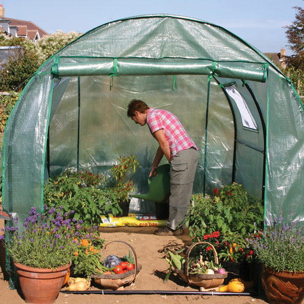 Polytunnel for the Garden and Allotment from Mr Fothergill's Seeds and