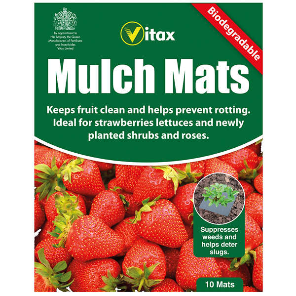 Strawberry Plant Protection Mats 10 inchD. T. Brown Garden Equipment