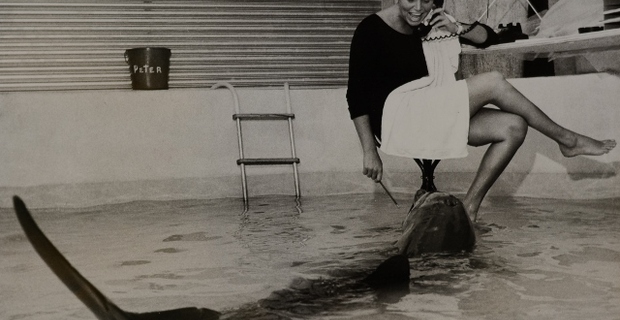 The Girl Who Talked to Dolphins