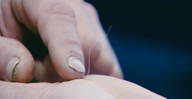 The Pain of Others