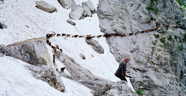 Mountain