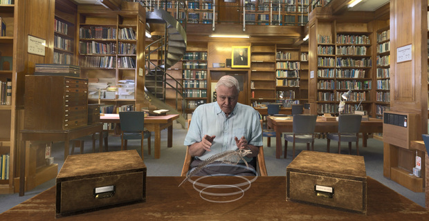 Hold The World with David Attenborough