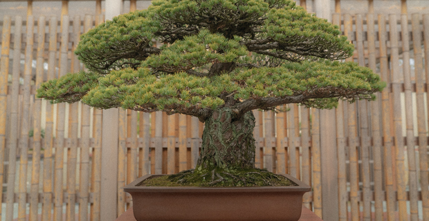 The Atomic Tree