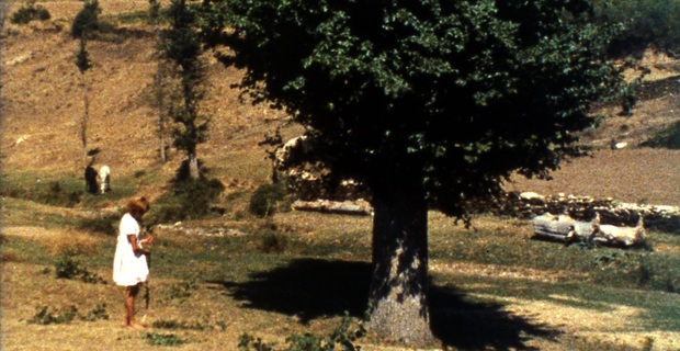 Trás-os-Montes