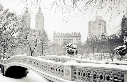 winter landscape
