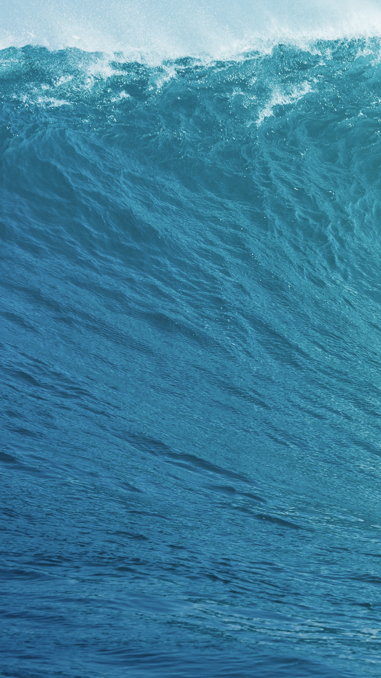 opening oceans a nor