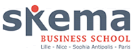 Small_original_skema