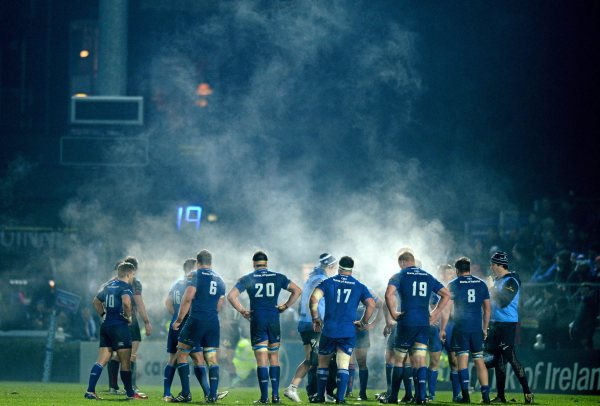 Image result for leinster rugby