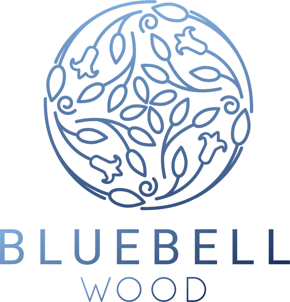 The Bluebell Wood Beginning