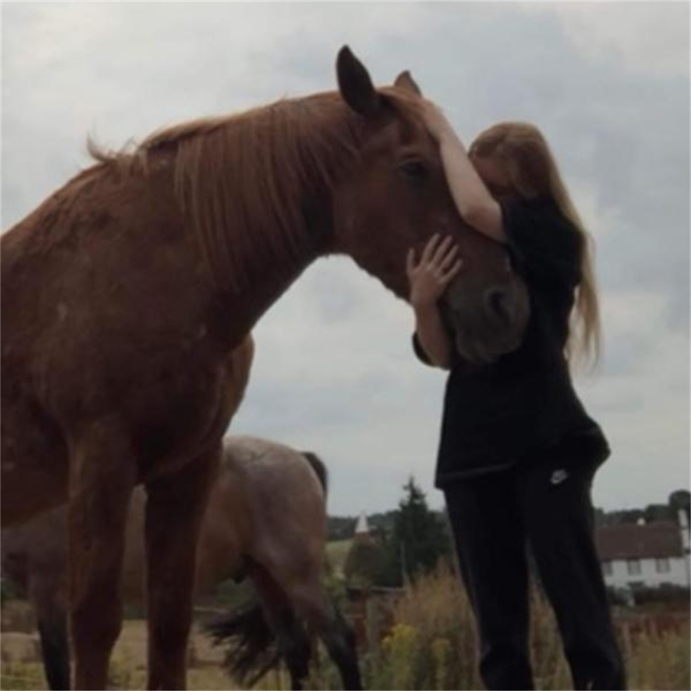 kent equine facilitated learning CIC donated £5077