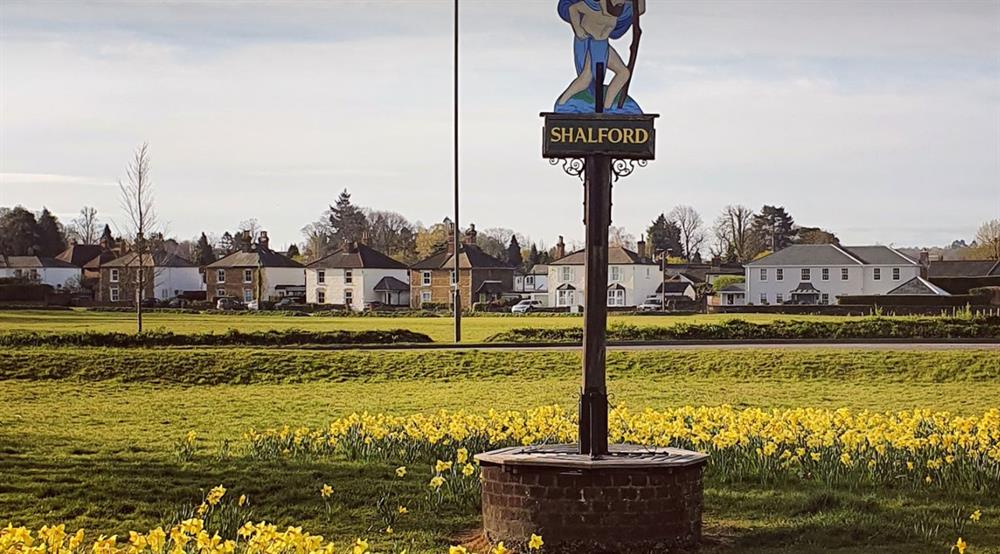 Shalford Platinum Picnic